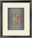 Assemblage No. 84 Posters by John Watson