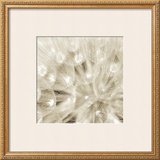 On the Breeze Prints by Adam Brock