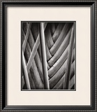 Palm Pattern Prints by Jeff Zaruba