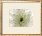 Pureness Art by George Fossey