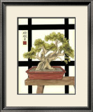 Zen Bonsai IV Prints by Jennifer Goldberger
