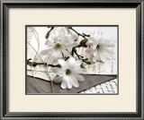 Magnolia et Lettres Print by Catherine Beyler
