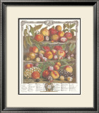 Twelve Months of Fruits, 1732, August Prints by Robert Furber