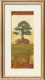 Bonsai I Art by Charlene Audrey