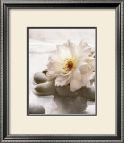 Spring Retreat IV Prints by Christine Elizabeth
