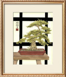 Zen Bonsai II Print by Jennifer Goldberger