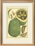 Exotic Melons II Art