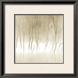 Soft Light II Print by Adam Brock