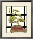 Zen Bonsai I Print by Jennifer Goldberger