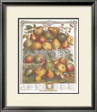 Twelve Months of Fruits, 1732, January Prints by Robert Furber
