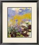 Les Agapanthes Posters by Claude Monet
