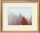 Cabernet Art by Durwood Zedd