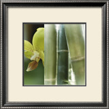 Bamboo III Art by Jennifer Broussard