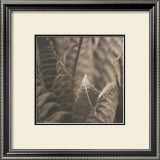 Moonglow II Print by Heather Johnston