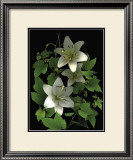 White Lilies Art by Susan Barmon