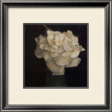 Gardenia in Green Vase Print by Carnochan 