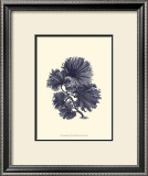 Indigo Kelp I Prints