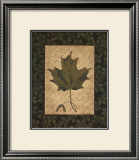 Sugar Maple Leaf Prints by Susan Clickner