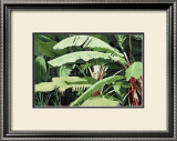 Tropical Harmony Posters by Glenn Cernosek