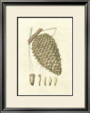 Crackled Woodland Pinecones I Prints by Silva 
