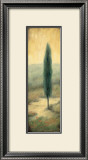 Tuscan Twilight II Posters by Laurie Tavino