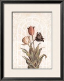 Tulip Companion II Posters by Dexter Mcgowan