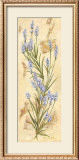 Lavanda Art by Amelie Parker