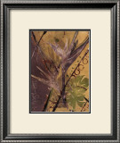 Rainforest Suite II Poster by Mimi Cora