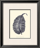 Indigo Kelp IV Posters