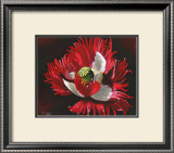 Red Poppy After Rain Prints by Sue Warner