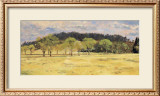 Buck Run Willows Prints by Peter Sculthorpe