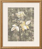 Silver Rose II Posters por Antonietta Vernice