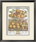 Twelve Months of Fruits, 1732, March Prints by Robert Furber