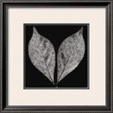 Simplicity Prints by Trefor Ball