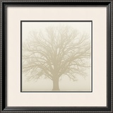 Soft Light I Prints by Adam Brock