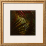 Timeless Vision Art by Verdi 