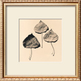Trio Prints by Graeme Harris