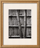 Bamboo and Wall Prints by Jeff Zaruba