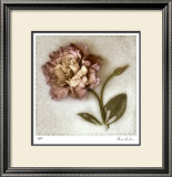 Sand Lisianthus Limited Edition Framed Print by Donna Geissler