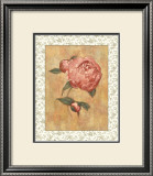 Antique Peony II Posters by Linda Hanly