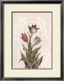Tulip Companion I Art by Dexter Mcgowan