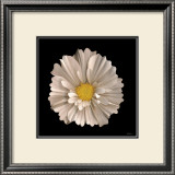 Cosmos no. 7 Prints by Neil Seth Levine