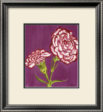 Purple and White Carnations Prints by Elise Ferguson