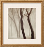Forest III Prints by Hess 