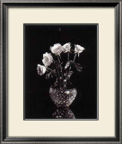 Dramatic Roses Poster by Dick & Diane Stefanich