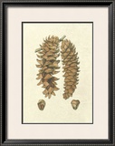 Crackled Woodland Pinecones III Art by Silva 