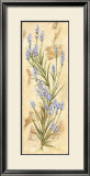 Lavanda Art by Amelie Parker