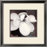 Magnolia Blue II Prints by Katrina Craven