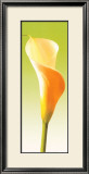 Green Callas Trilogy I Print by Inka Vogel