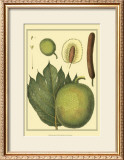 Exotic Melons I Posters